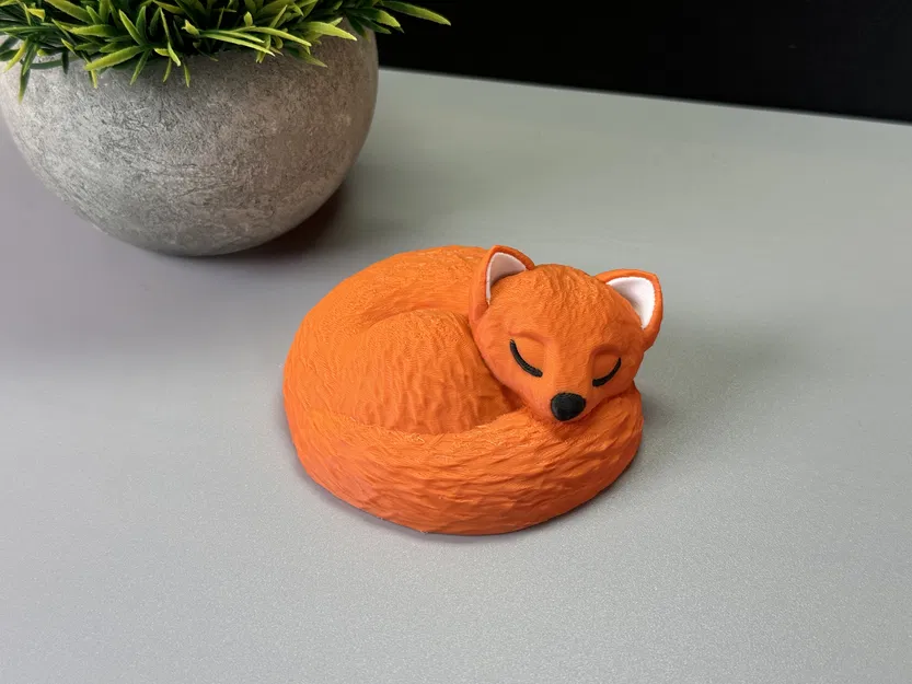 Chú Cáo Đang Ngủ - Image 1