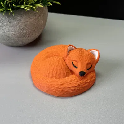 Chú Cáo Đang Ngủ