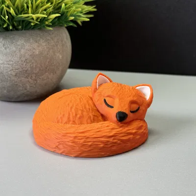 Chú Cáo Đang Ngủ