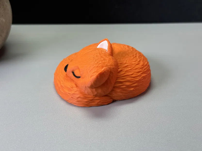 Chú Cáo Đang Ngủ - Image 4