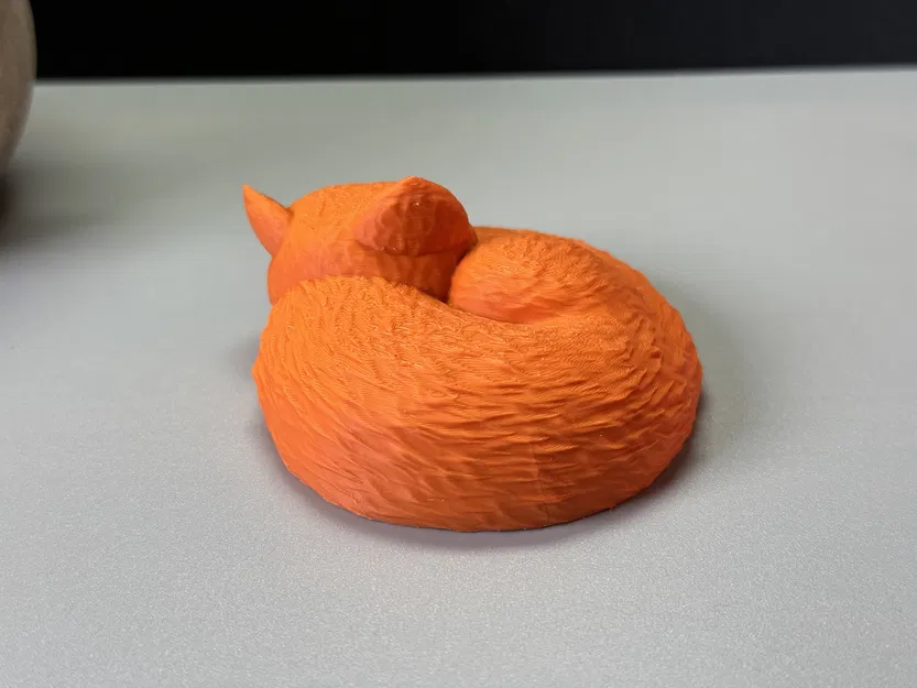 Chú Cáo Đang Ngủ - Image 5