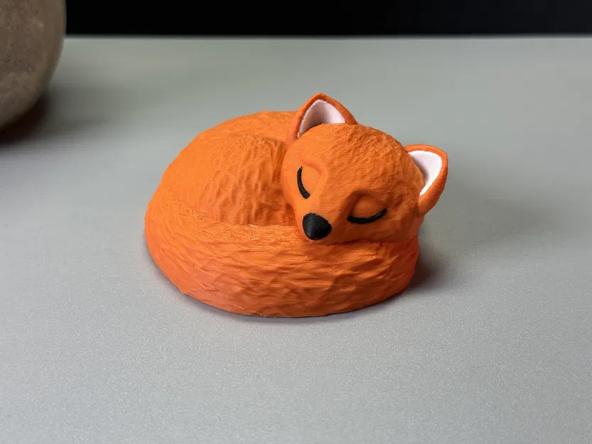 Chú Cáo Đang Ngủ - Image 6