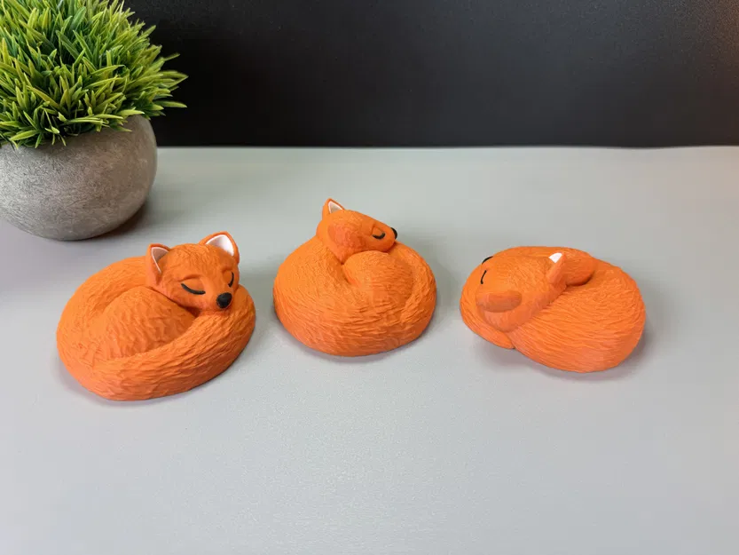 Chú Cáo Đang Ngủ - Image 7