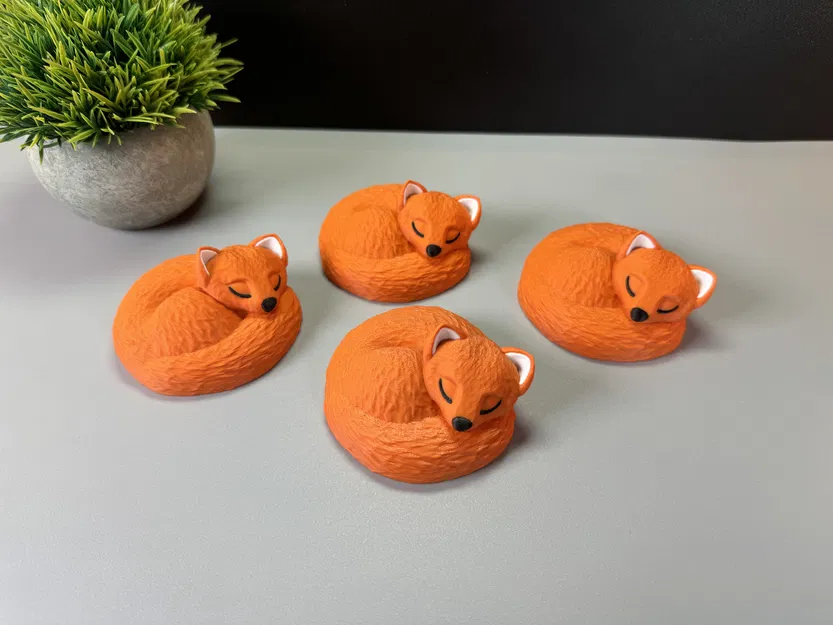 Chú Cáo Đang Ngủ - Image 8