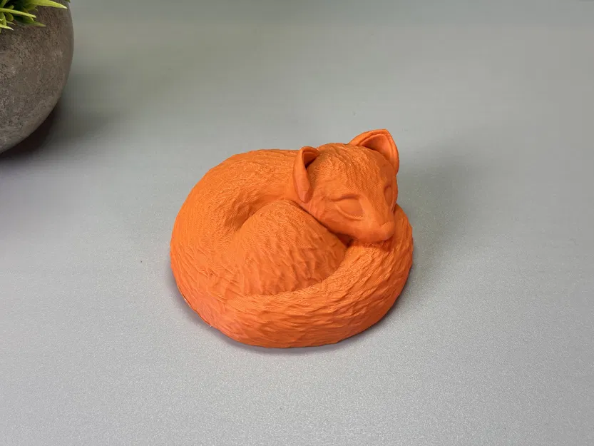 Chú Cáo Đang Ngủ - Image 9