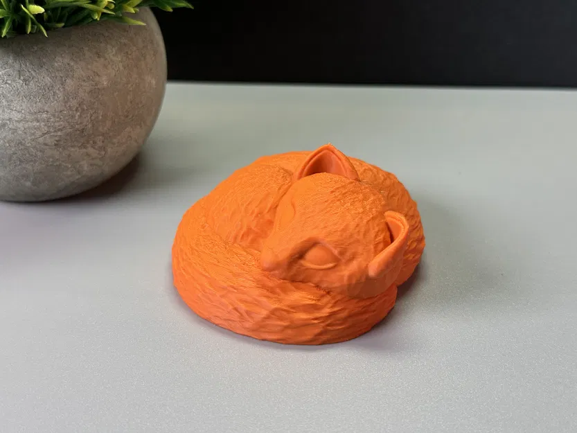 Chú Cáo Đang Ngủ - Image 10