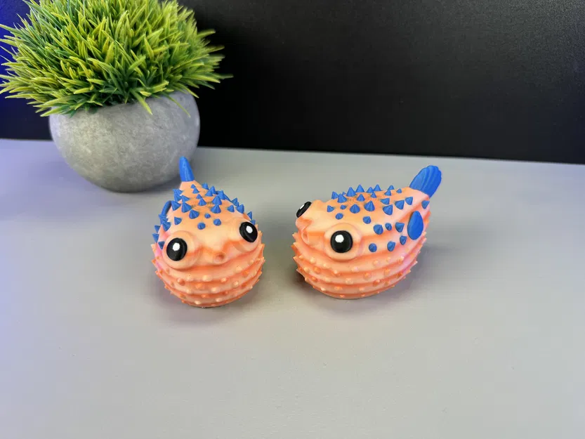 Cá Phồng Đáng Yêu - Image 5