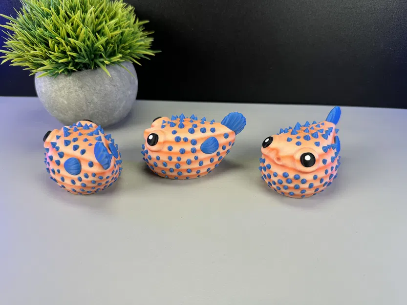 Cá Phồng Đáng Yêu - Image 6