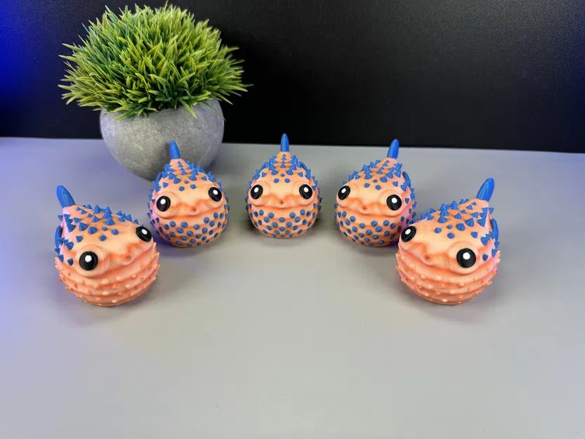 Cá Phồng Đáng Yêu - Image 7