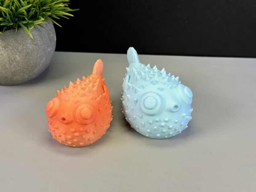 Cá Phồng Đáng Yêu - Image 8