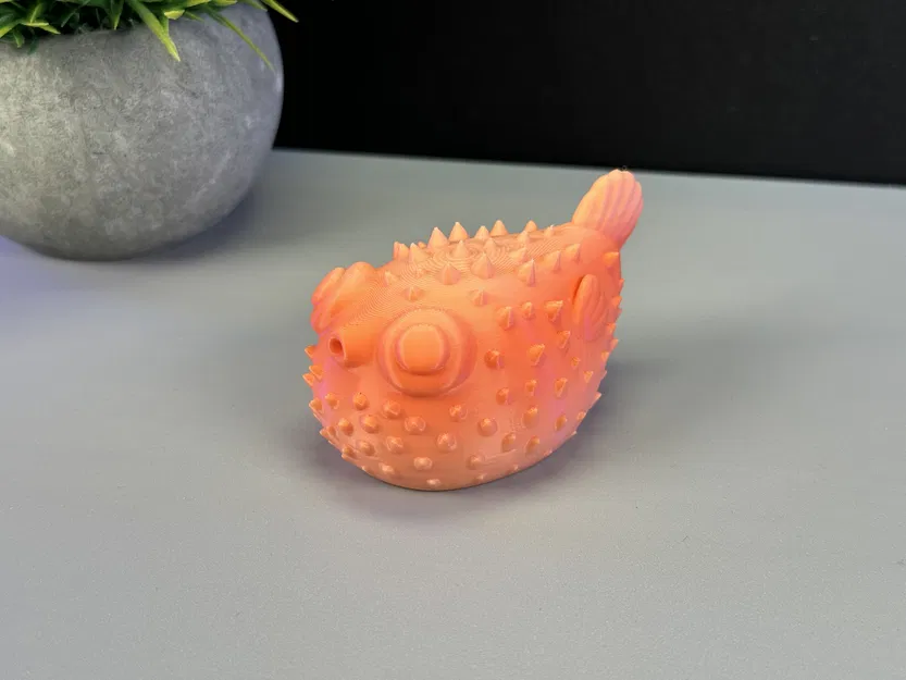 Cá Phồng Đáng Yêu - Image 9