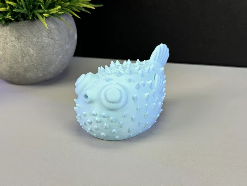 Cá Phồng Đáng Yêu - Image 10