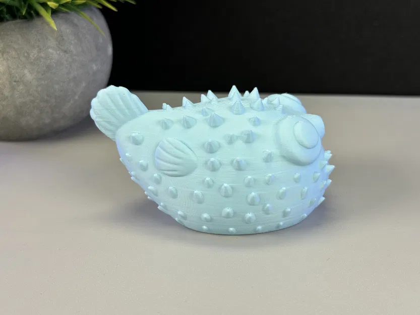 Cá Phồng Đáng Yêu - Image 11