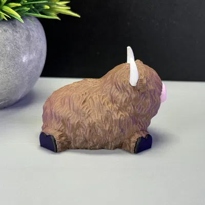 Bò Cao Nguyên Dễ Thương