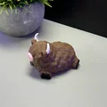 Bò Cao Nguyên Dễ Thương - Thumbnail 4