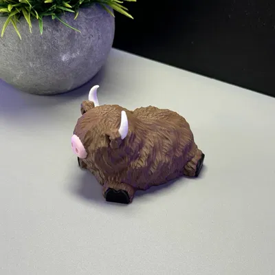 Bò Cao Nguyên Dễ Thương