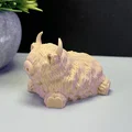 Bò Cao Nguyên Dễ Thương - Thumbnail 11