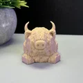 Bò Cao Nguyên Dễ Thương - Thumbnail 12