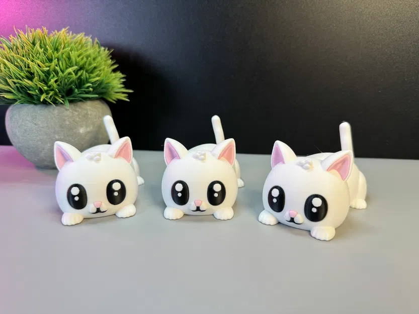 Mèo Dễ Thương - Image 5