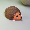 Nhím Dễ Thương - Thumbnail 1