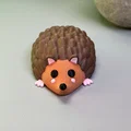 Nhím Dễ Thương - Thumbnail 2