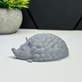 Nhím Dễ Thương - Thumbnail 5