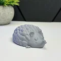 Nhím Dễ Thương - Thumbnail 6