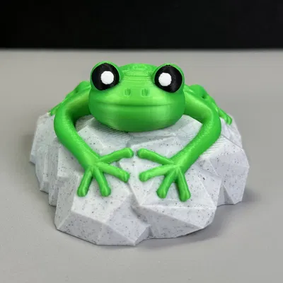 Con Ếch Trên Tảng Đá