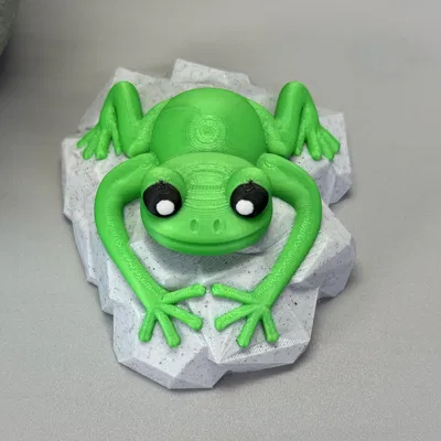 Con Ếch Trên Tảng Đá