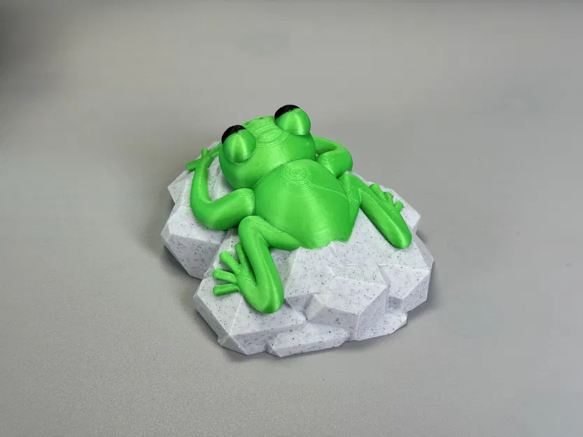 Con Ếch Trên Tảng Đá - Image 4