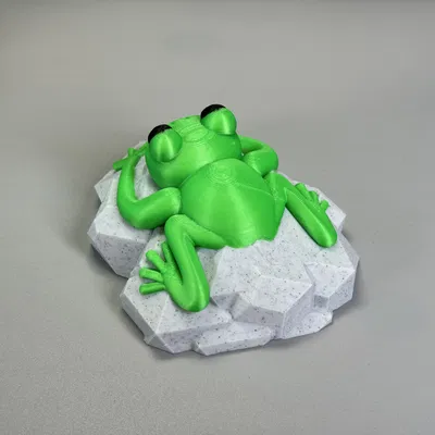 Con Ếch Trên Tảng Đá