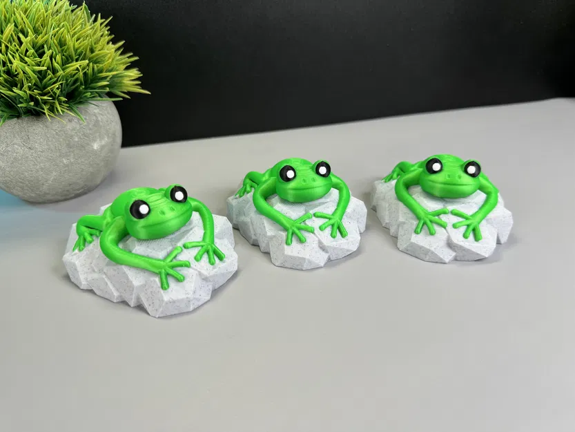 Con Ếch Trên Tảng Đá - Image 5