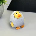 Gà Con Nhìn Ra Từ Trứng - Thumbnail 1