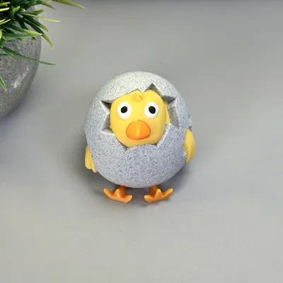 Gà Con Nhìn Ra Từ Trứng