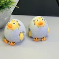 Gà Con Nhìn Ra Từ Trứng - Thumbnail 5