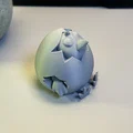 Gà Con Nhìn Ra Từ Trứng - Thumbnail 7