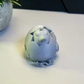 Gà Con Nhìn Ra Từ Trứng - Thumbnail 8