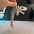Cá Mập Bộ Xương Khớp Nối - Thumbnail 2