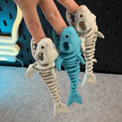 Cá Mập Bộ Xương Khớp Nối