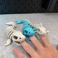 Cá Mập Bộ Xương Khớp Nối - Thumbnail 6
