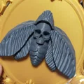 Mô hình Bướm Đầu Lâu trong Khung - Thumbnail 2