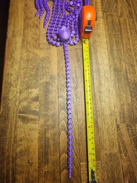 Con Bạch Tuộc Khớp Nối Dài Nhất - Image 2