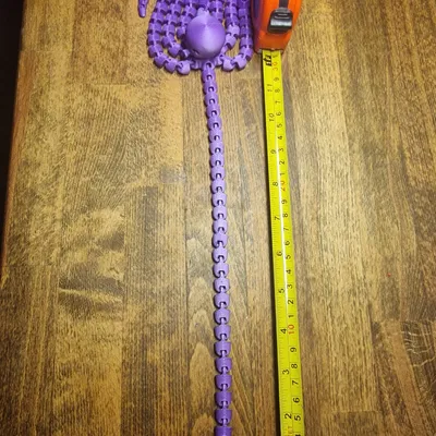 Con Bạch Tuộc Khớp Nối Dài Nhất