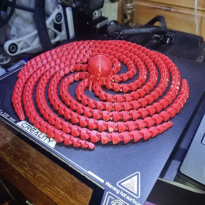 Bạch Tuộc Khớp Nối DÀI Hơn Cả Con Dài Nhất