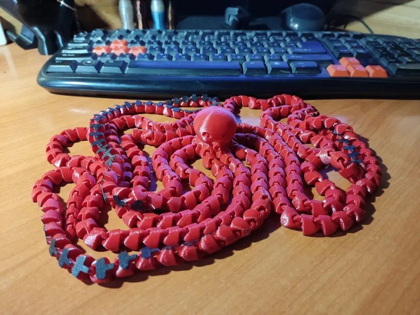 Bạch Tuộc Khớp Nối DÀI Hơn Cả Con Dài Nhất - Image 3