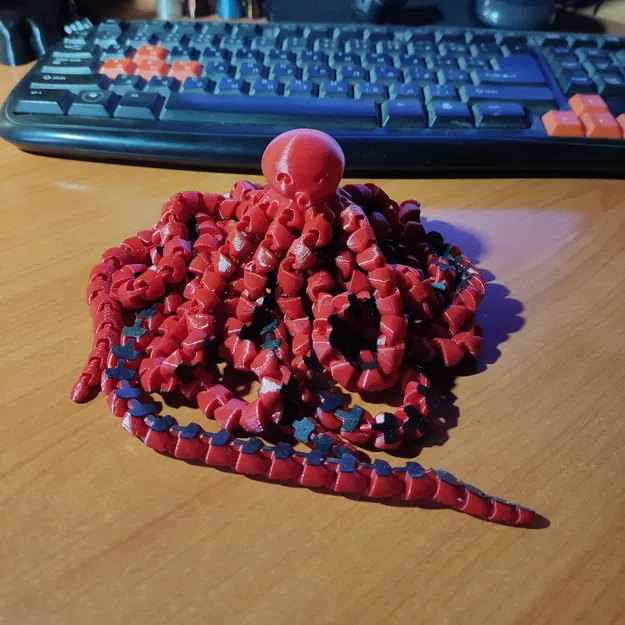 Bạch Tuộc Khớp Nối DÀI Hơn Cả Con Dài Nhất - Image 4