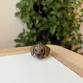 Móc Trang Trí Giáng Sinh Chó Dachshund - Thumbnail 3