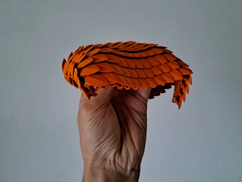 Vải Vảy Rồng - Image 9