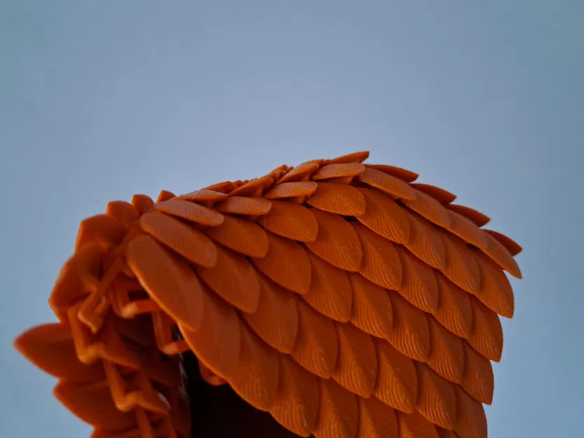 Vải Vảy Rồng - Image 11