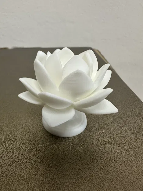 Mẫu Hoa Sen - Image 3